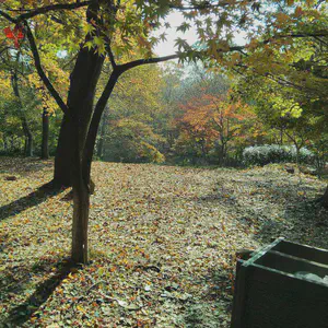 /photos/2015-11-26 风景-栖霞山.jpg