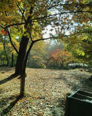 /photos/2015-11-26 风景-栖霞山.jpg